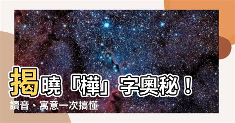 樺名字|【樺名字意思】細數「樺」字取名寓意：揭曉令人驚豔的樺樹意涵。